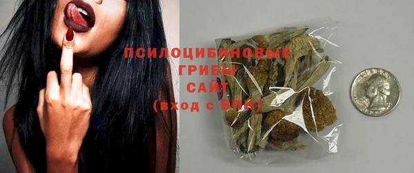 ПСИЛОЦИБИНОВЫЕ ГРИБЫ Алексин