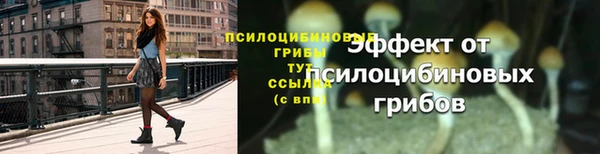 ПСИЛОЦИБИНОВЫЕ ГРИБЫ Алексин