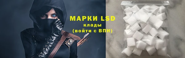 дурь Алзамай