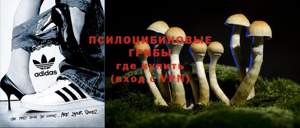 дурь Алзамай