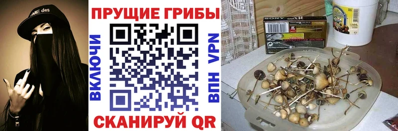 Псилоцибиновые грибы мухоморы  купить наркотики цена  Дно 